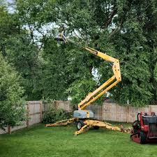 Why Choose Our Tree Removal Services in Grosse Pointe Woods, MI?