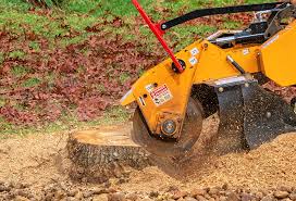 Best Stump Grinding and Removal  in Grosse Pointe Woods, MI