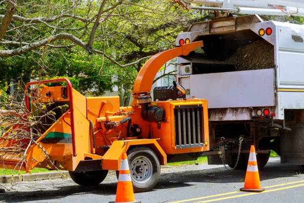 Best Emergency Tree Removal  in Grosse Pointe Woods, MI